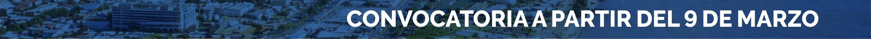 Convocatoria Primeros Exportadores